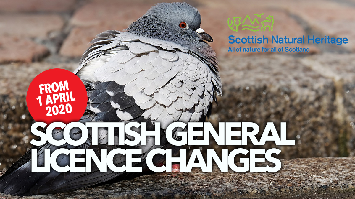 scottish general licence changes